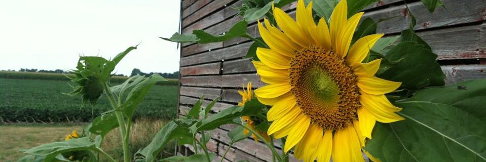 farmboytech's profile banner image
