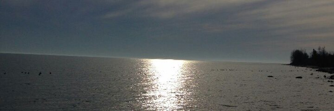 m_moinjam's profile banner image
