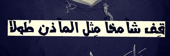 باسل النجار | BasilAlNajjar 🇵🇸🇵🇸's banner