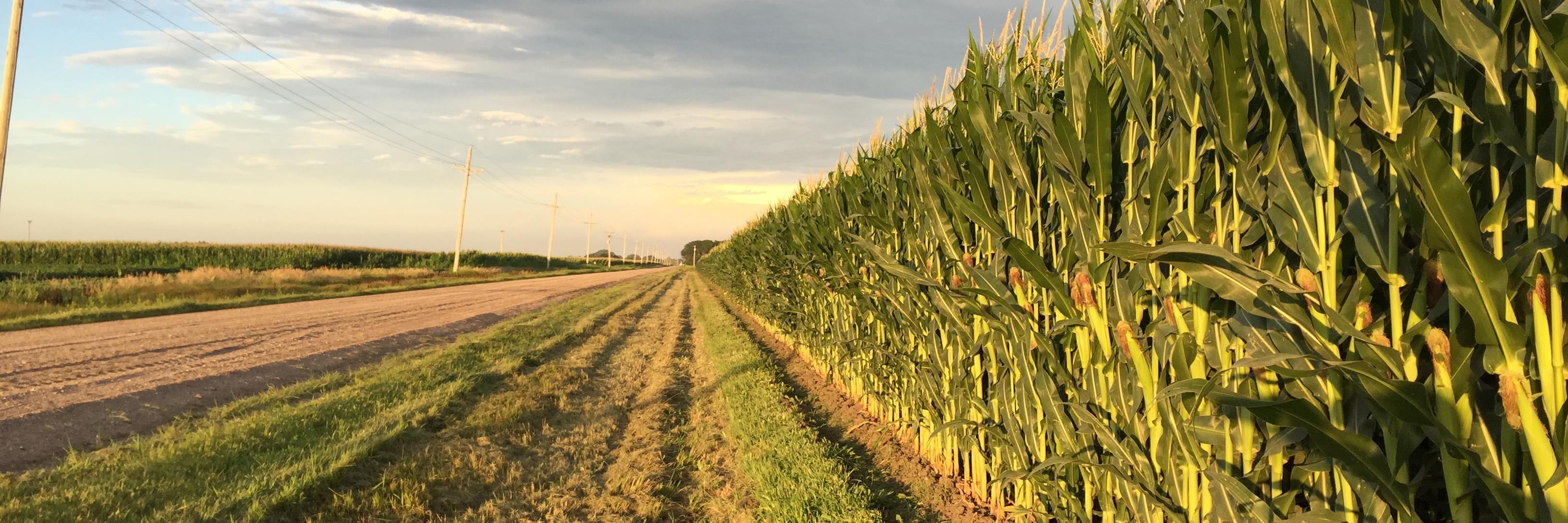 Steve Tippery banner