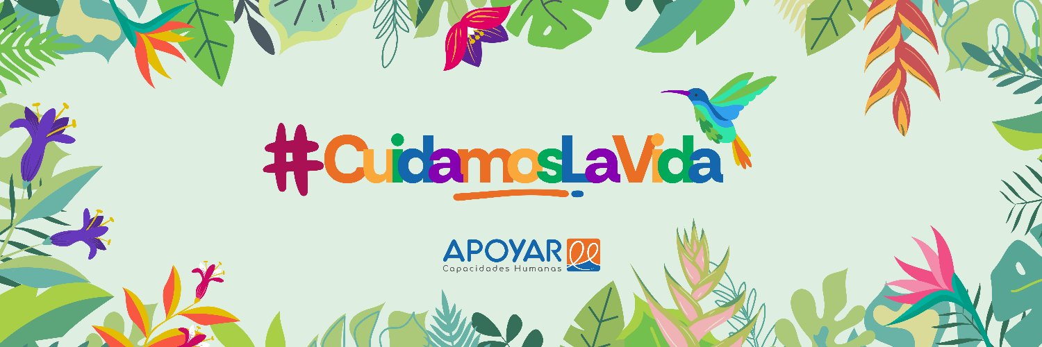 apoyarong's profile banner image