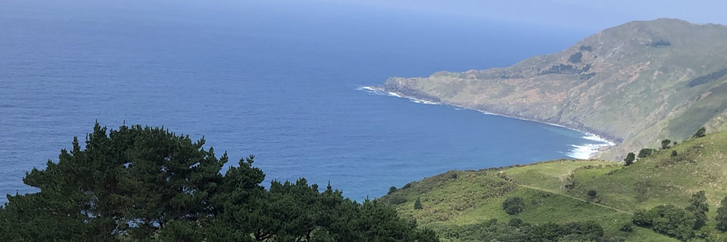 Nieves Goicoechea banner