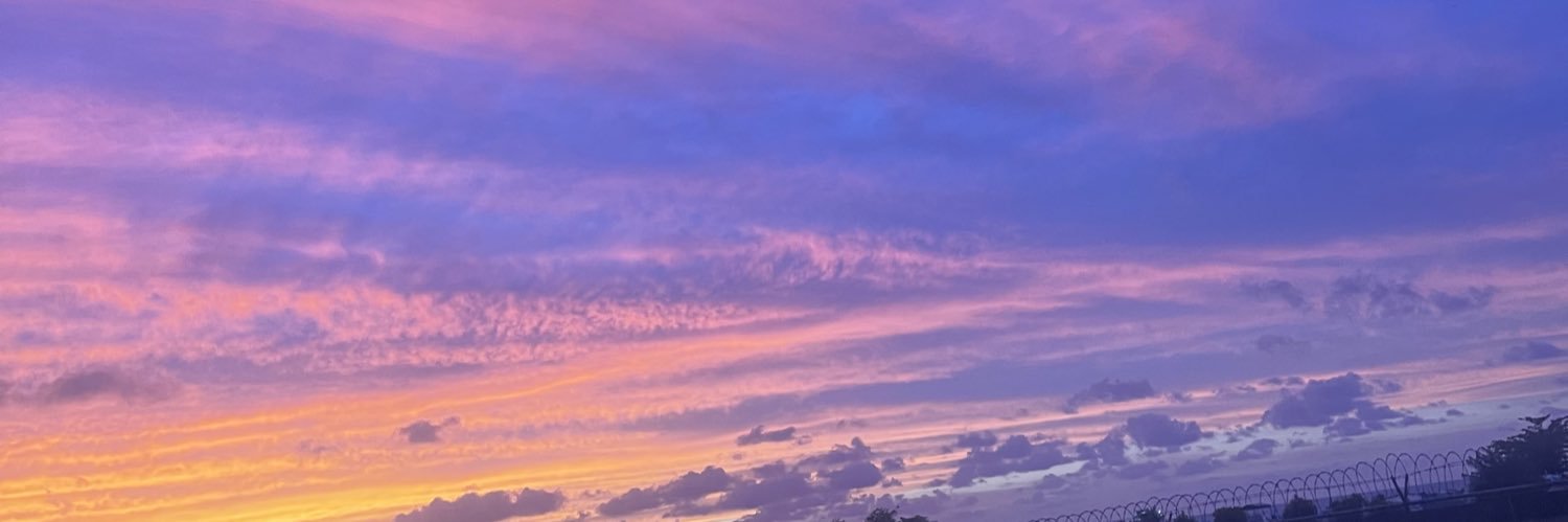 wthuginnn's profile banner image