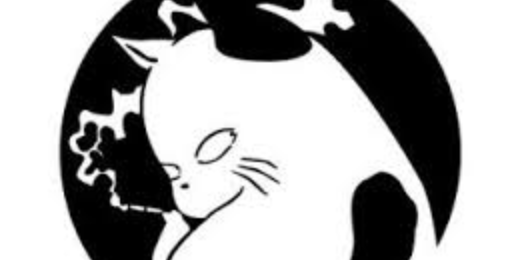 madam_tera's profile banner image