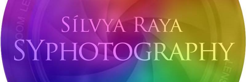 SYphotography_'s profile banner image