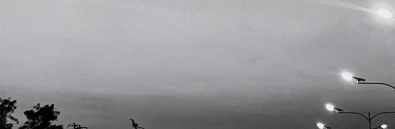 0myyou's profile banner image