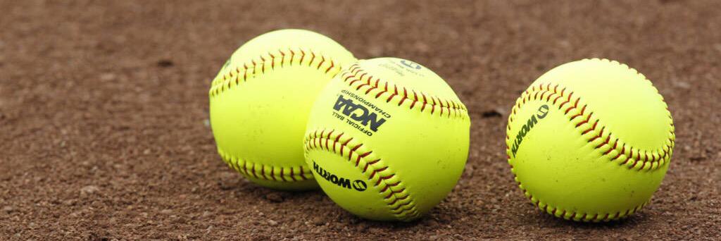 whsoftball17's profile banner image