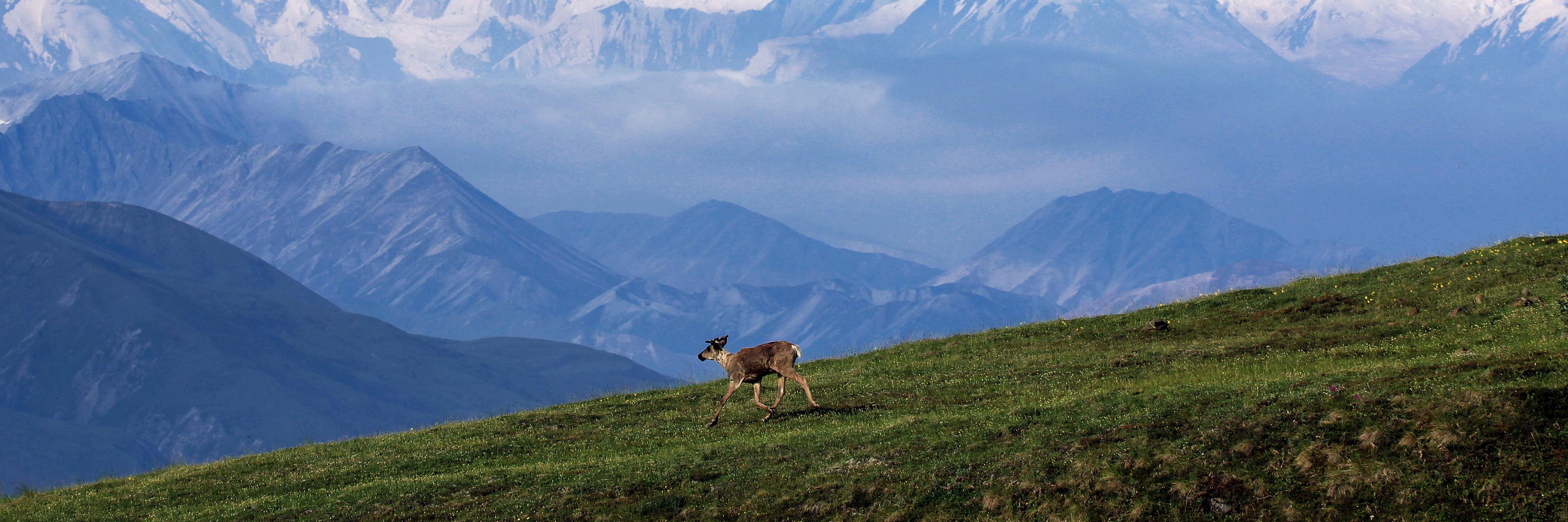 (Archived) NPS Climate Change banner
