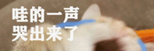 pitahime1104's profile banner image