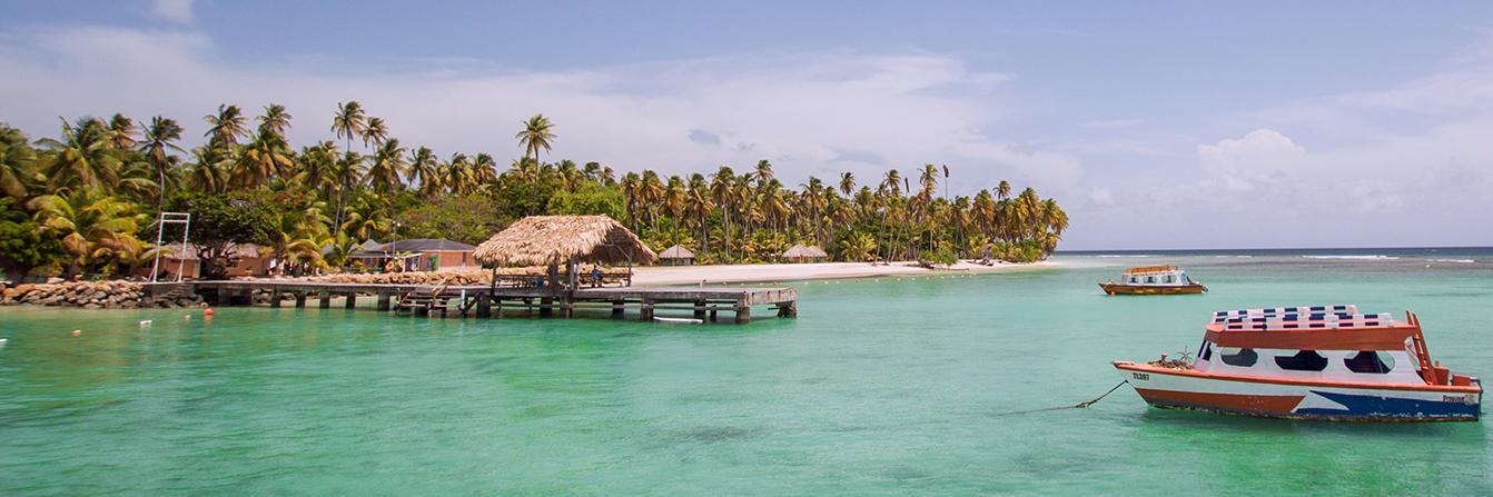 pigeonpoint_tt's profile banner image