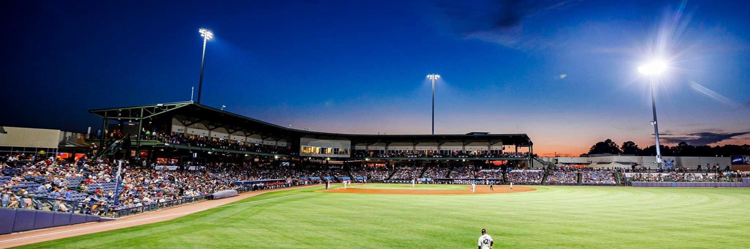 Mississippi Braves banner