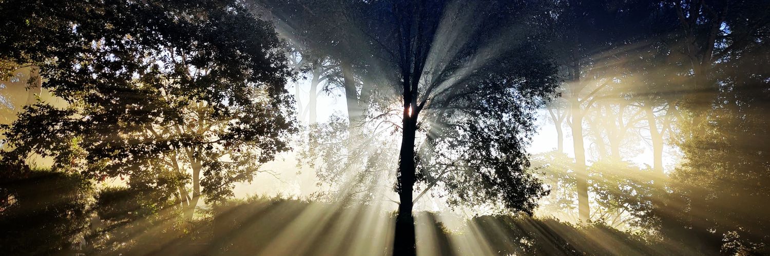 RDBCat's profile banner image