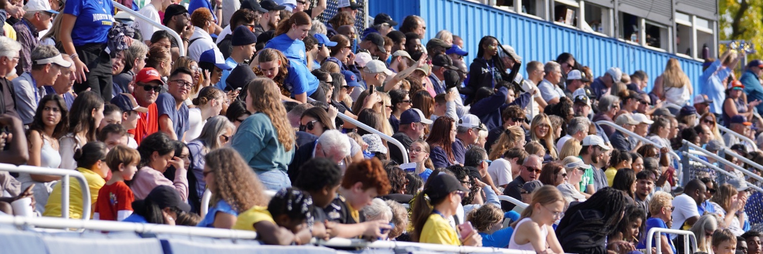 North Park Vikings banner