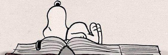 Maria Gibbons banner