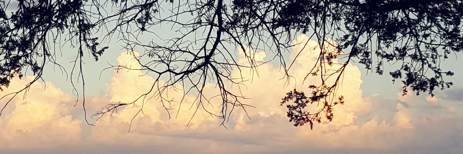 Katie has yet to shut up about Matthew Swift banner