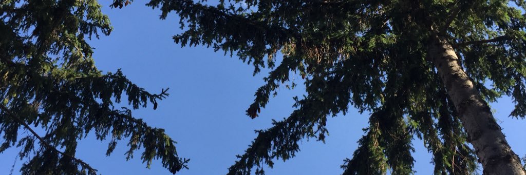 elenamrd1's profile banner image