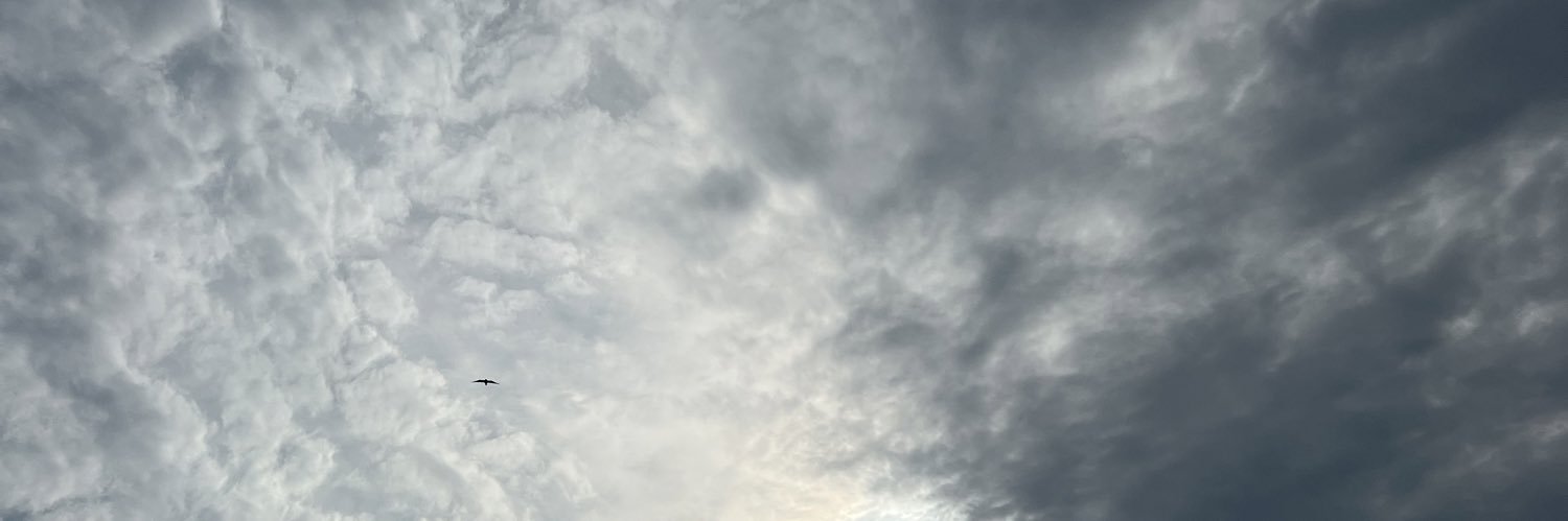 lianasmat's profile banner image