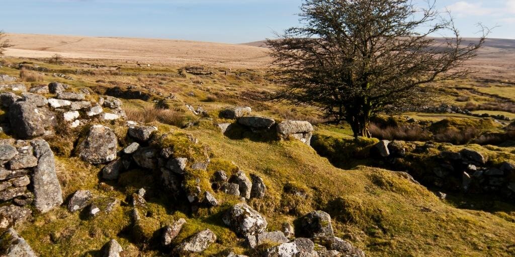Community Pharmacy Devon banner