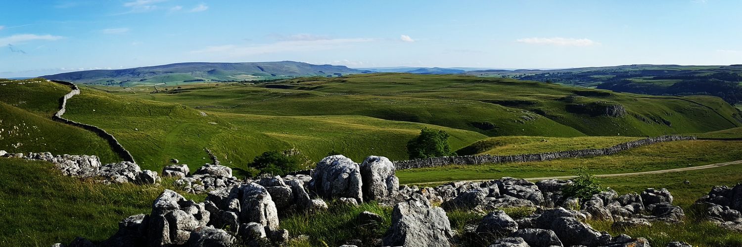davideparry's profile banner image
