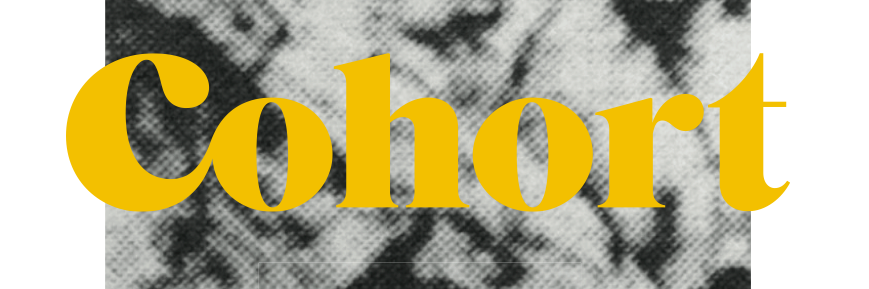 RCAcohort's profile banner image