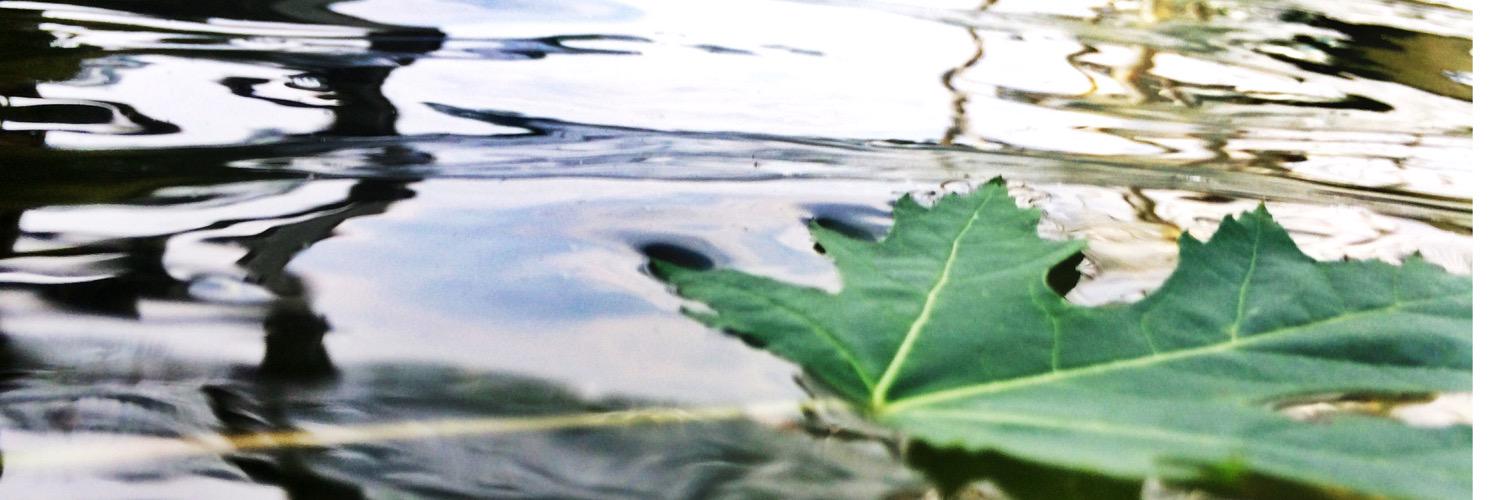 clarklakemi's profile banner image