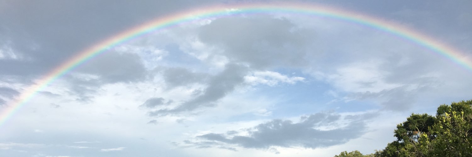will_cola13's profile banner image