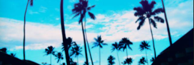 cribens's profile banner image