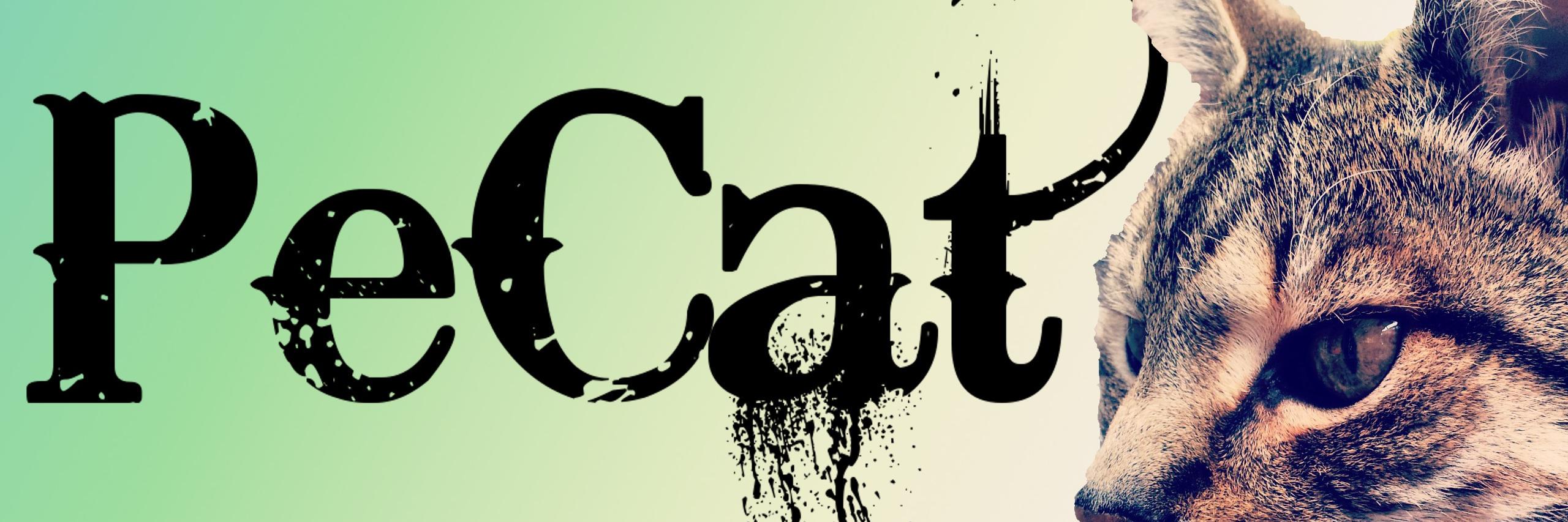 Peecaaat's profile banner image
