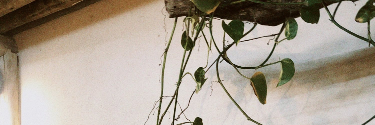 aaailuj's profile banner image