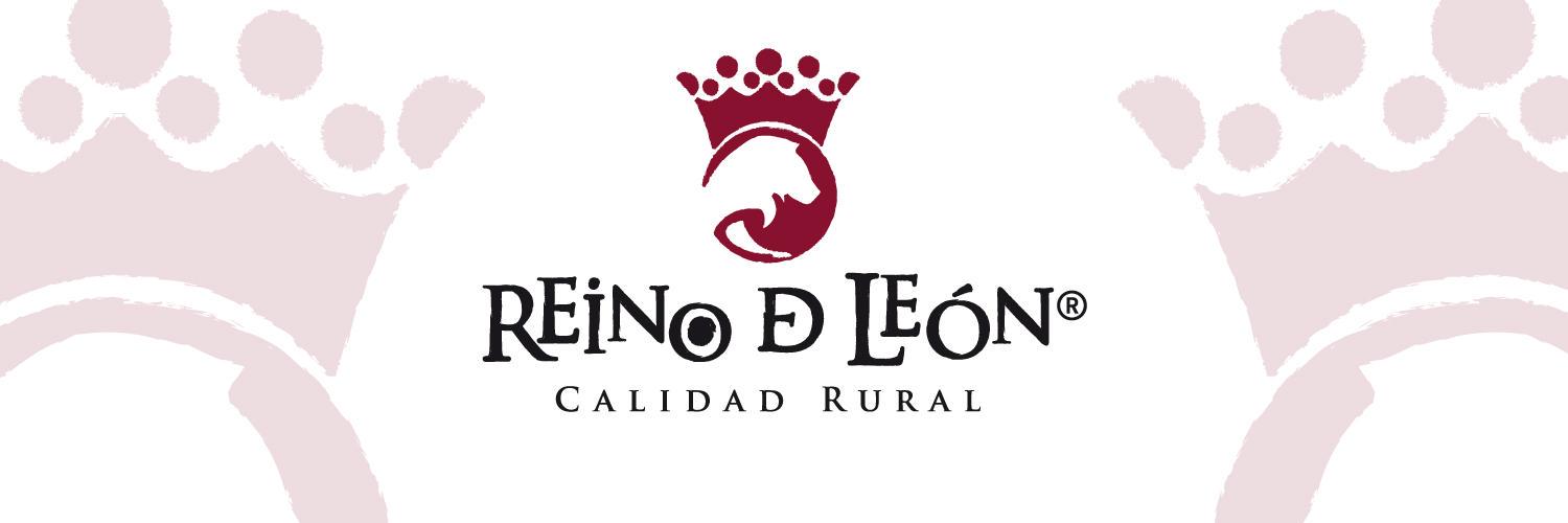 ReinodeLeonCR's profile banner image