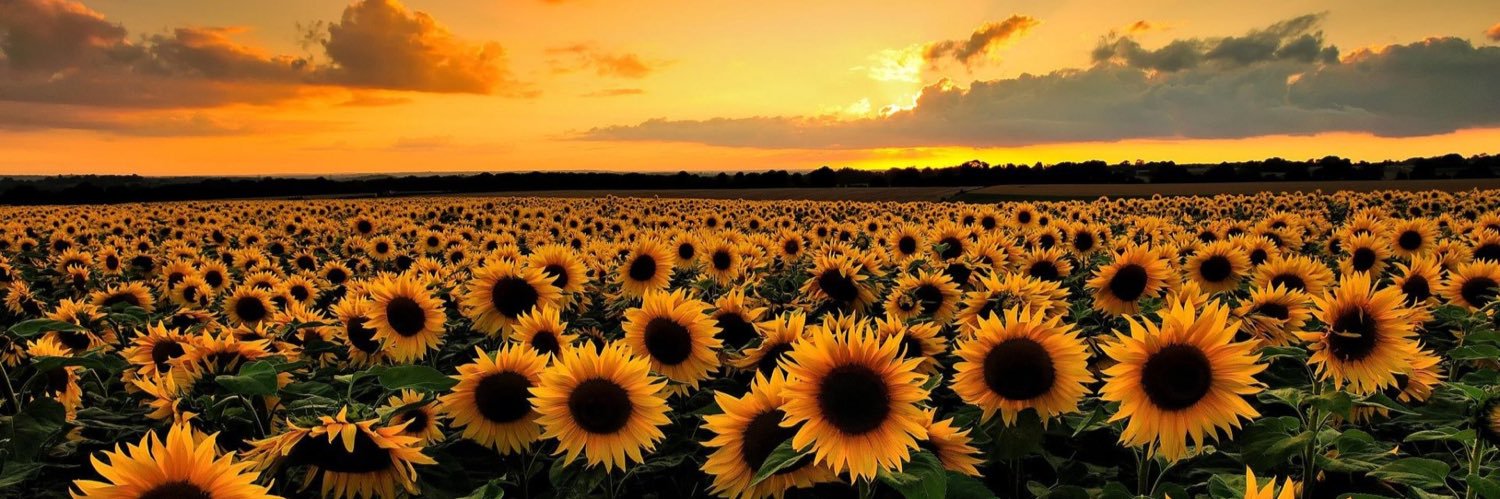 _CaraAnne's profile banner image