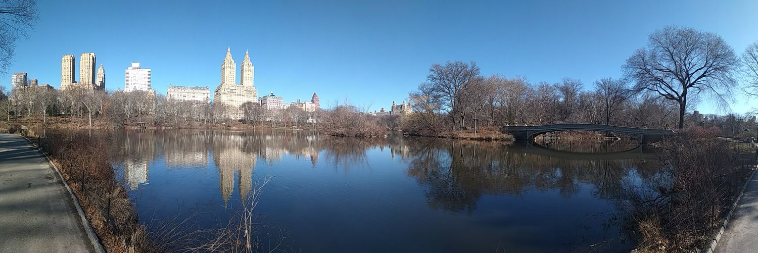 Lorena Mérida banner