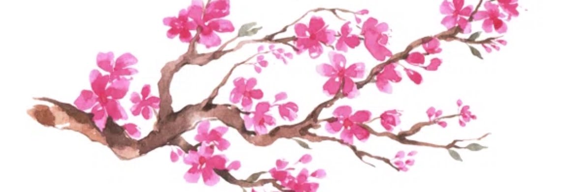 sam_vazquezz's profile banner image