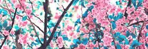 Joanacc04's profile banner image