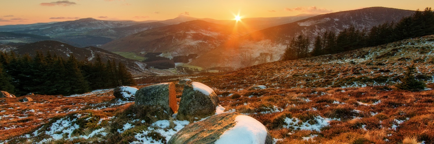 Our Daily Bread Canada banner