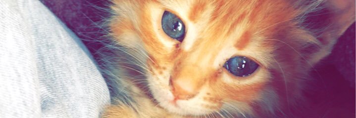 omar55055's profile banner image