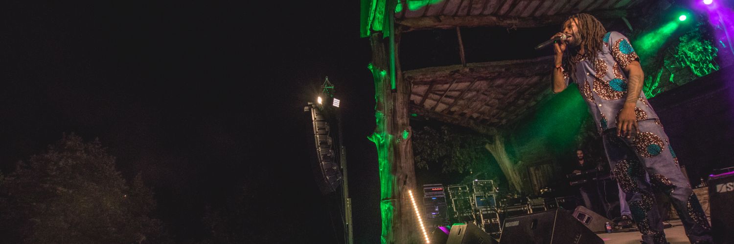 LionSitte_Fans's profile banner image