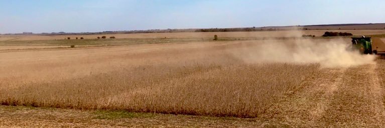 Pablo Saavedra banner