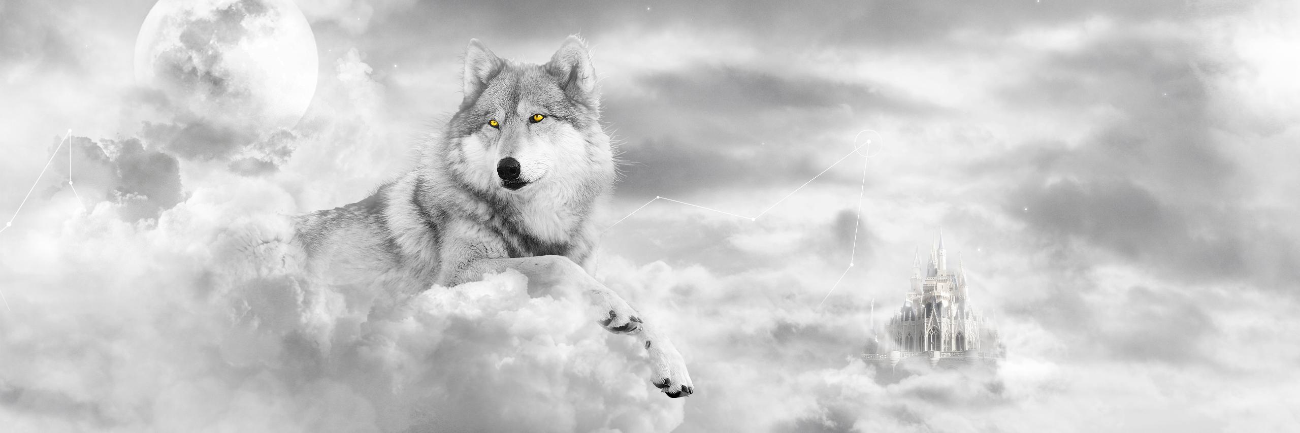 MarguiPhilippe's profile banner image