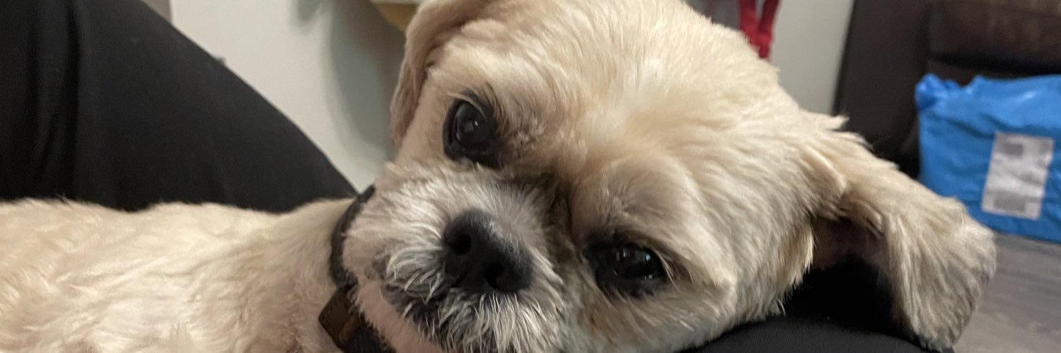 benfalconerr's profile banner image