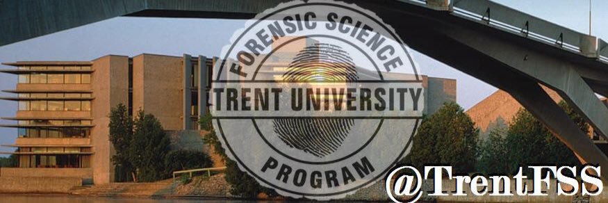 trentfss's profile banner image
