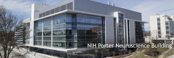 NINDSdirector Profile Banner