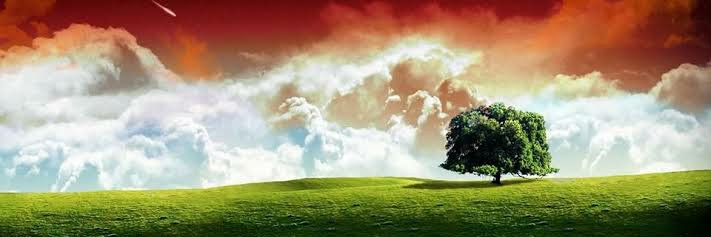 Prasad Chavan banner