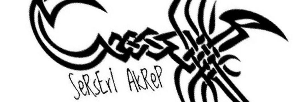 serseri_akrep's profile banner image