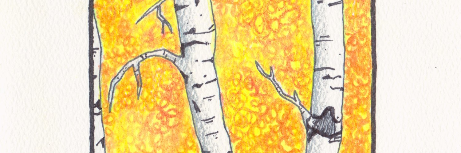 Standingtree's profile banner image