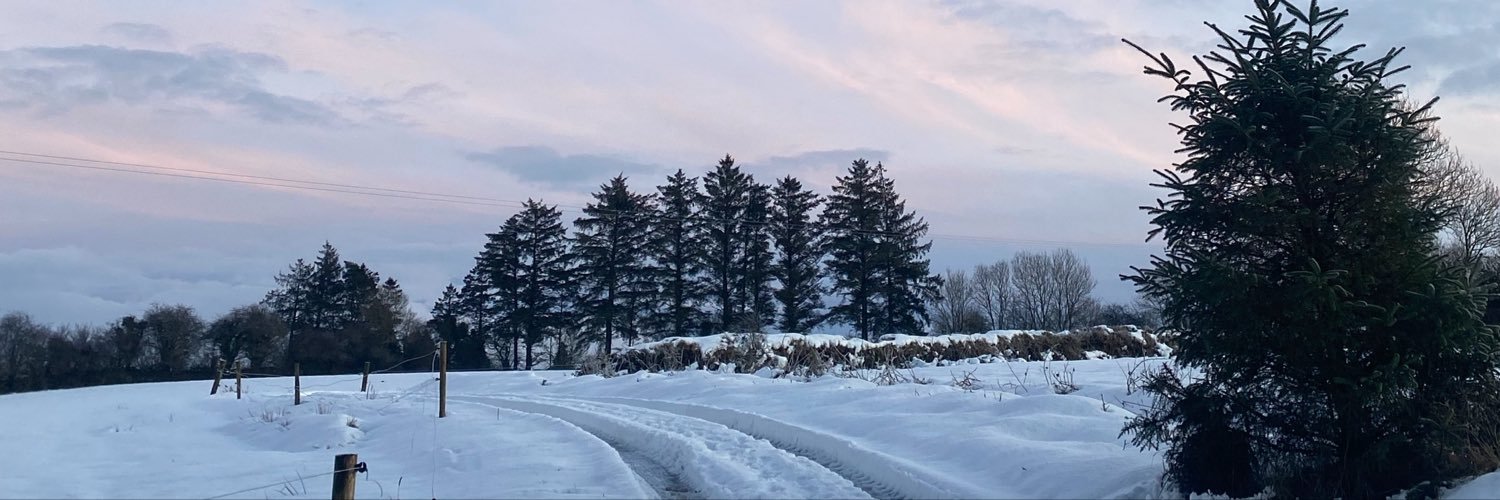alannahhhh's profile banner image