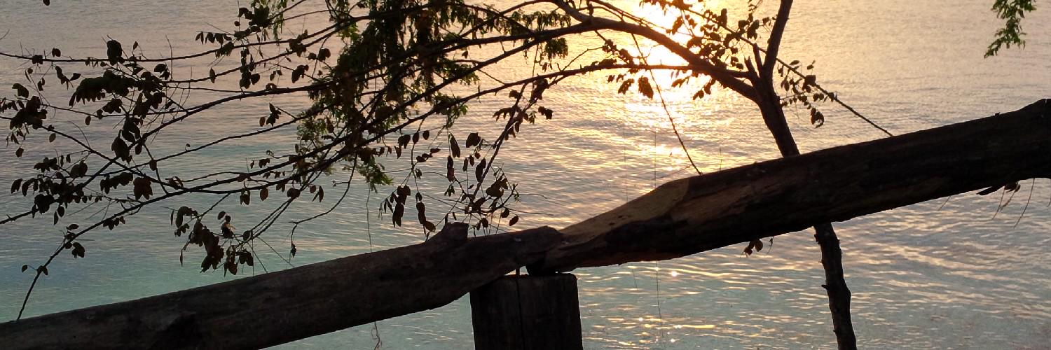 javiermaimo's profile banner image