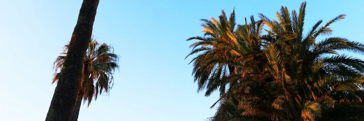 LaurieBBH's profile banner image
