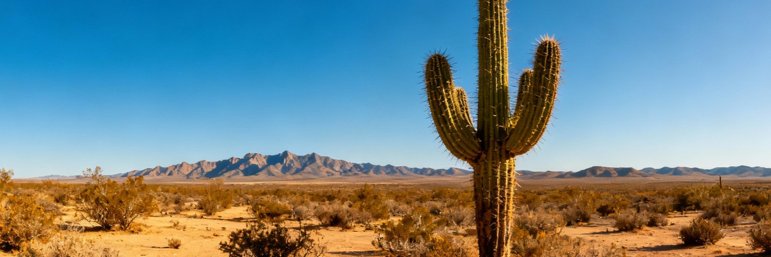Boberto Marinero banner