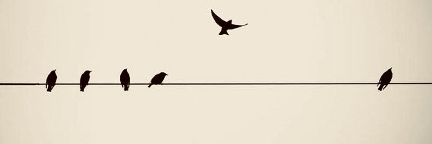 HarissMehmud's profile banner image